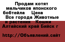 Продам котят мальчиков японского бобтейла. › Цена ­ 30 000 - Все города Животные и растения » Кошки   . Алтайский край,Бийск г.